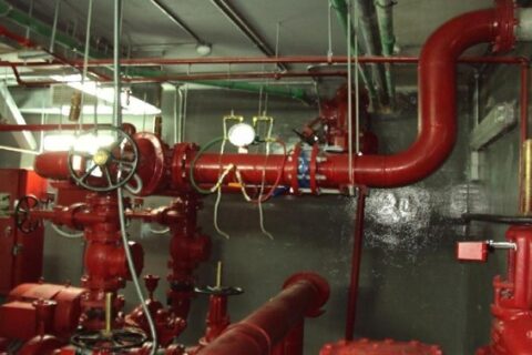 Picture30